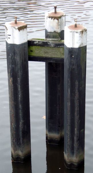 Datei:20260304 Dalbe 02 KMJ.jpg